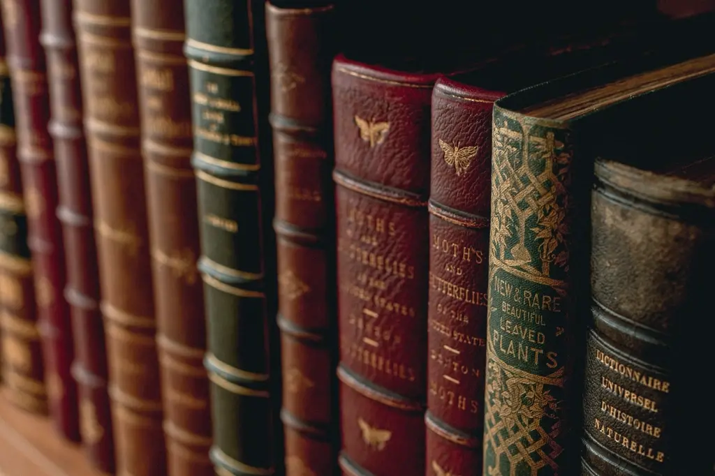 Row of antique leather-bound books