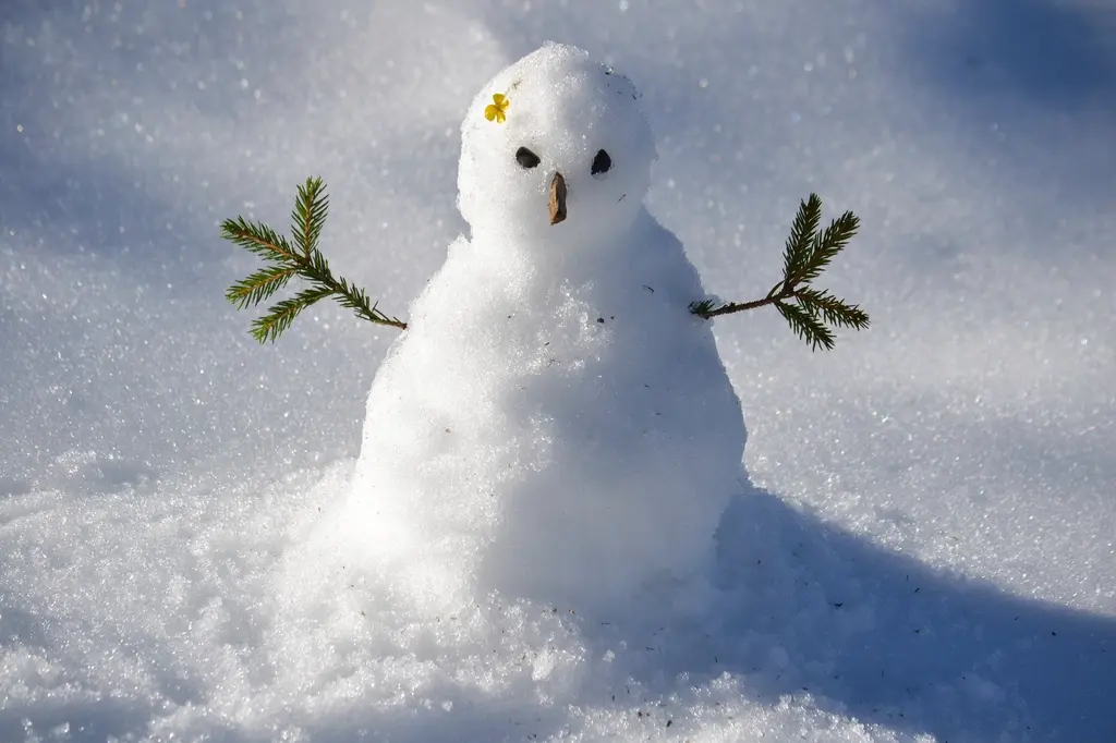 Small snowman with twig arms standing in fresh snow